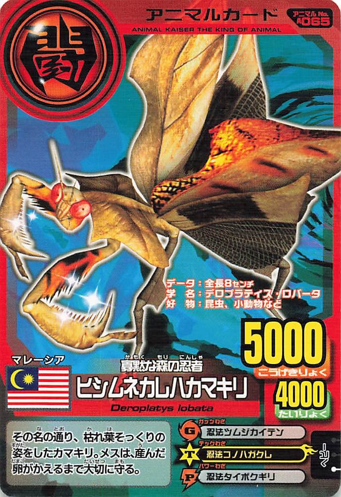 アニマルカイザー Amazon | 百獣大戦グレートアニマルカイザーゴッド闘獣録 2